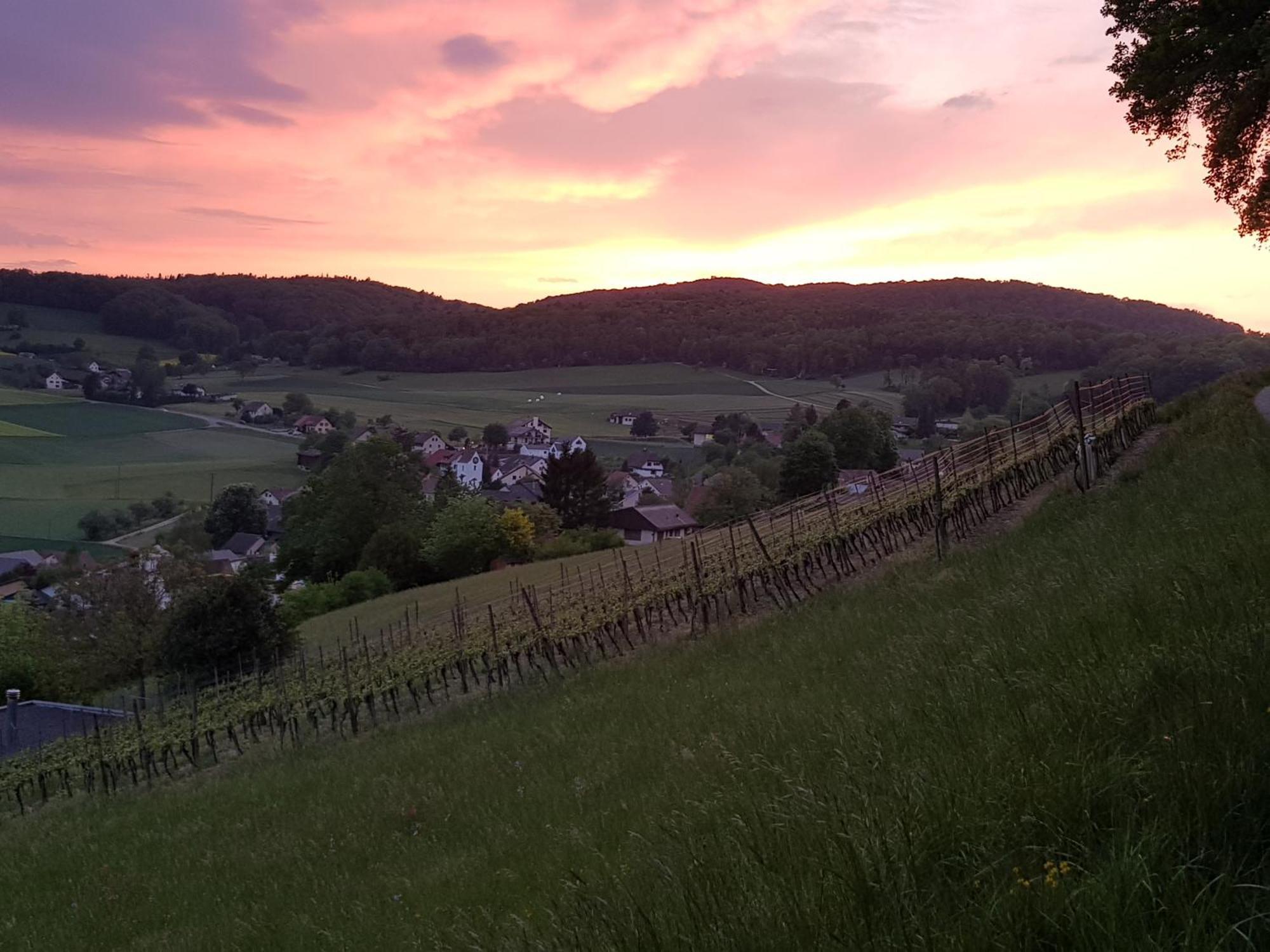 Bnb Moenthal Im Jurapark المظهر الخارجي الصورة