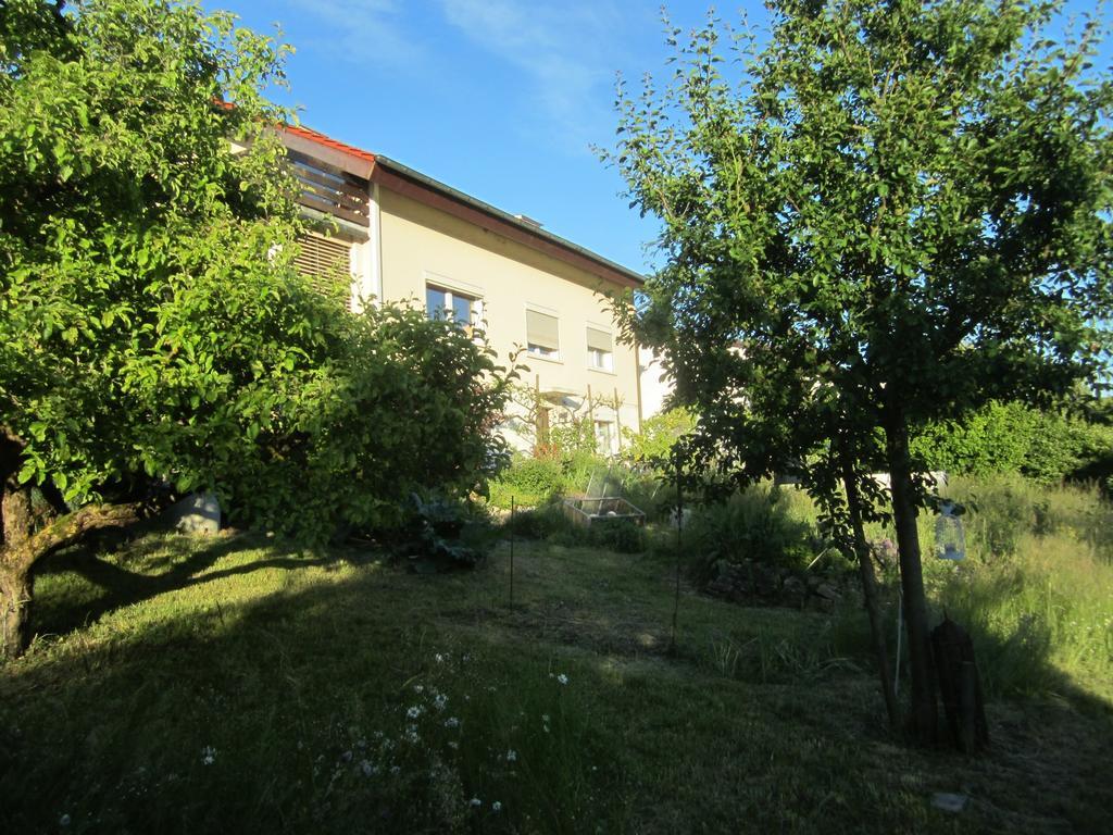 Bnb Moenthal Im Jurapark المظهر الخارجي الصورة